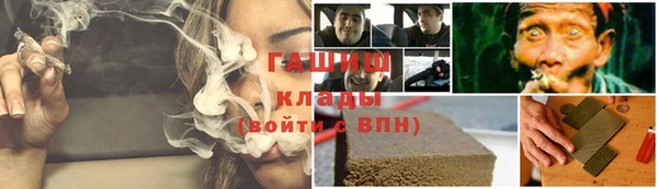 хмурый Пересвет