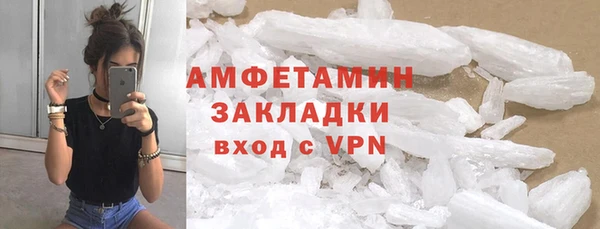 хмурый Пересвет