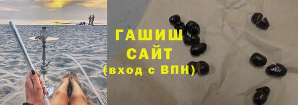 хмурый Пересвет
