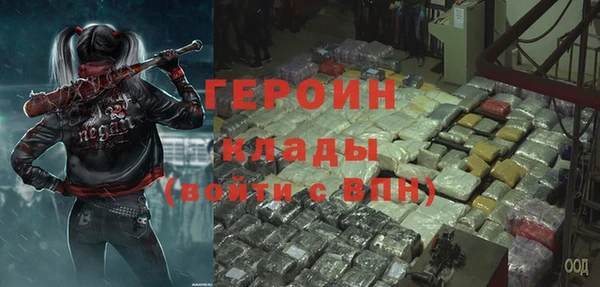 хмурый Пересвет
