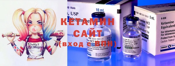 хмурый Пересвет