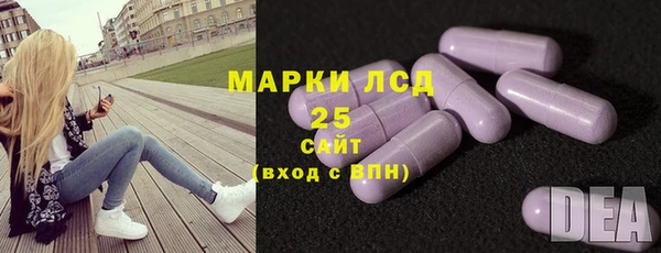 хмурый Пересвет