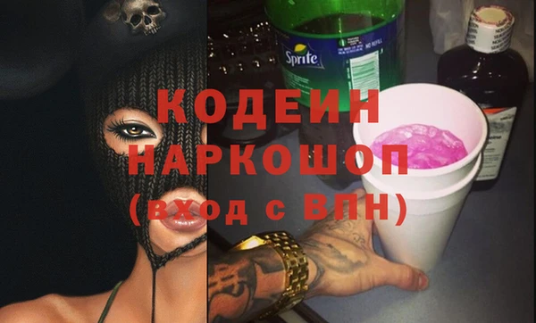 хмурый Пересвет